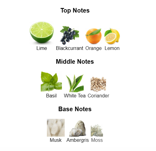 MAISON ASRAR VISION (Inspired by LV Pacific Chill)