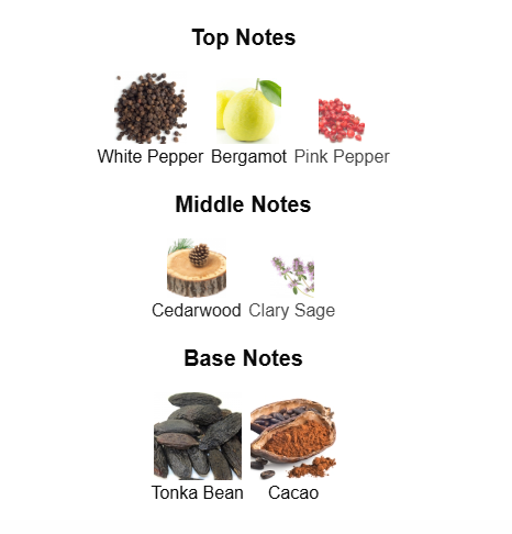 CAROLINA HERRERA BAD BOY EDT