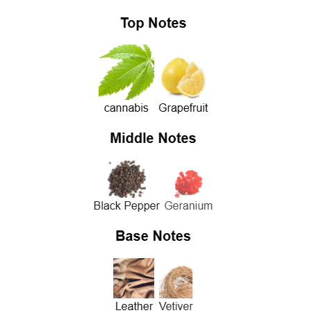 CAROLINA HERRERA BAD BOY LE PARFUM