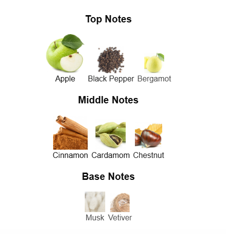 HUGO BOSS BOSS BOTTLED EDP