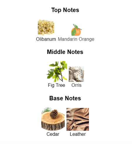 HUGO BOSS BOSS BOTTLED PARFUM