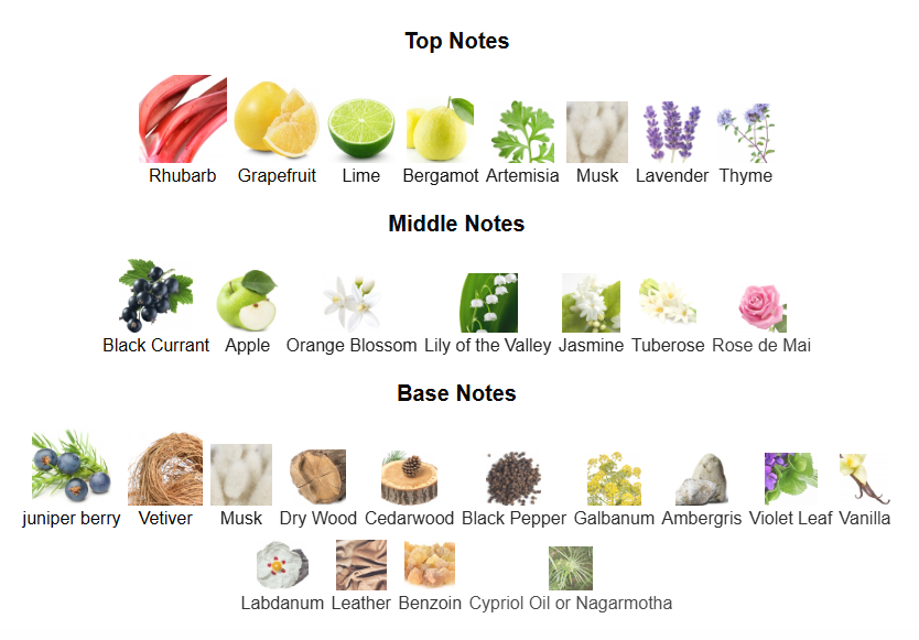 ROJA PARFUMS ELYSIUM EAU INTENSE EDP