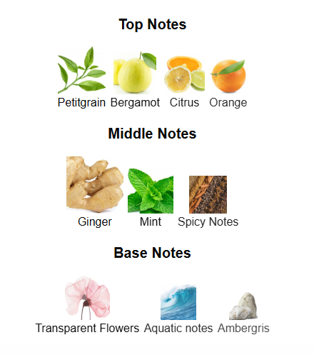 FRENCH AVENUE ESSENCE DE BLANC (Inspired by LV Imagination)