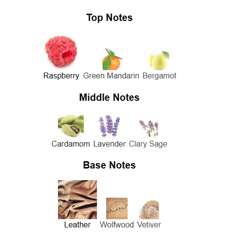 AZZARO FOREVER WANTED ELIXIR