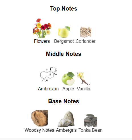 JO MILANO GAME OF SPADES WILDCARD (Inspired by Bond No. 9 Lafayette Street)