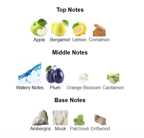 RASASI HAWAS (Inspired by Rabanne Invictus)