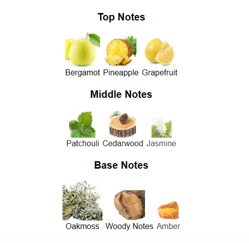 RASASI HAWAS BLACK (Inspired by Nishane Hacivat)