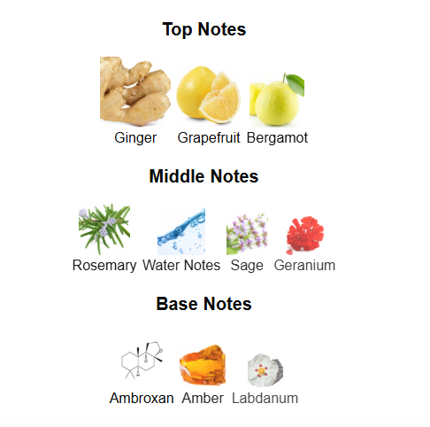 MAISON ALHAMBRA JEAN LOWE IMMORTEL (Inspired by LV L'Immensite)