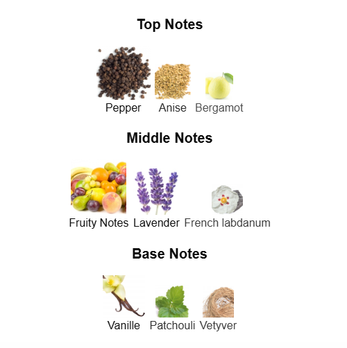 YSL LA NUIT DE L'HOMME LE PARFUM