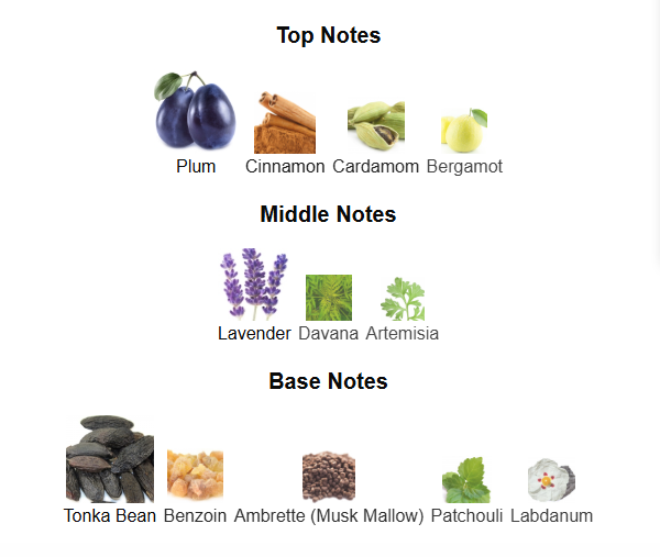 JPG Le Male Elixir Absolu