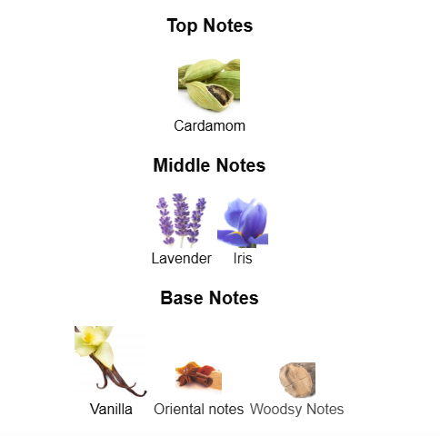 JPG LE MALE LE PARFUM