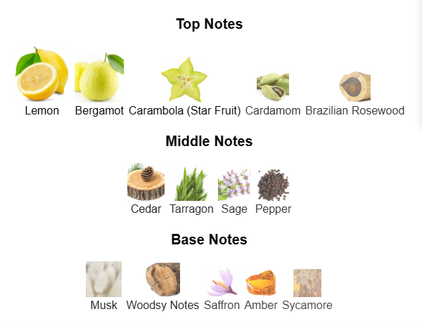 VERSACE MAN EAU FRAICHE