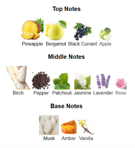 DUMONT NITRO BLACK (Inspired by Creed Aventus)