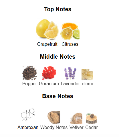 ARMAF ODYSSEY TYRANT (Inspired by Bvlgari Tygar & Dior Savauge)