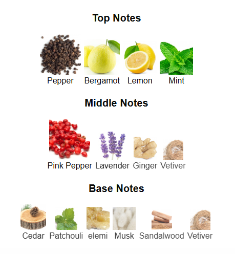 ARMAF ODYSSEY WILD ONE (Inspired by Dior Savauge EDT)