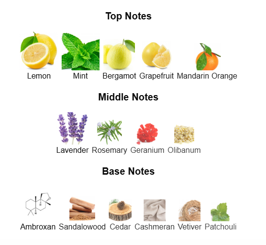 PARFUMS DE MARLY SEDLEY