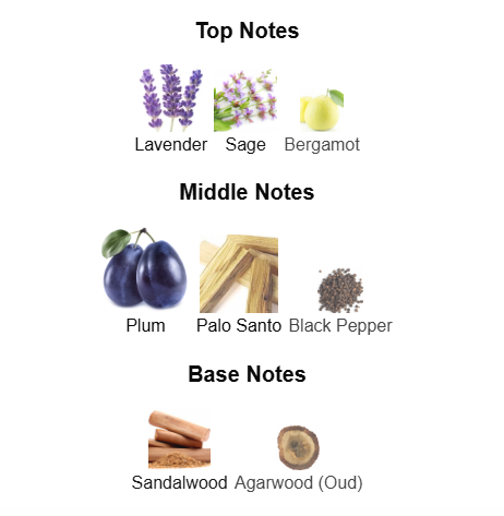 INITIO PARFUMS PRIVES PARAGON