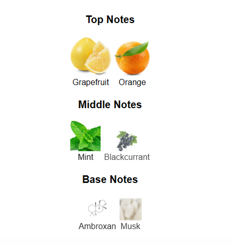 FRENCH AVENUE PINNACE WHITE (Inspired by LV Pacific Chill)