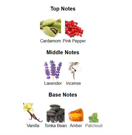 ARMAF THE PRIDE OF ARMAF ADMIRAL (Inspired by Rabanne Invictus Victory Elixir)