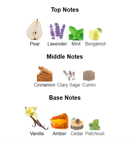 RAYHAAN LION (Inspired by JPG Ultra Male)