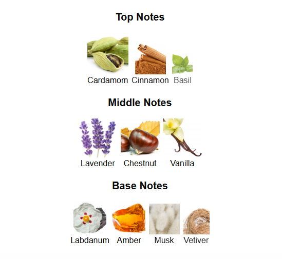 ZIMAYA REVERIE AQUA (Inspired by Valentino Uomo Born In Roma Intense)