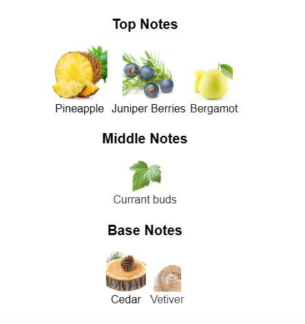 BOND NO. 9 THE SCENT OF PEACE FOR HIM