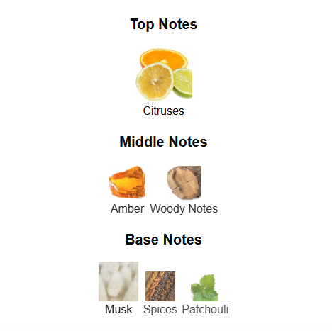 RUE BROCA THEOREME HOMME EDP (Inspired by Bvlgari Tygar)