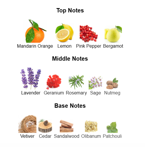 CREED VIKING COLOGNE