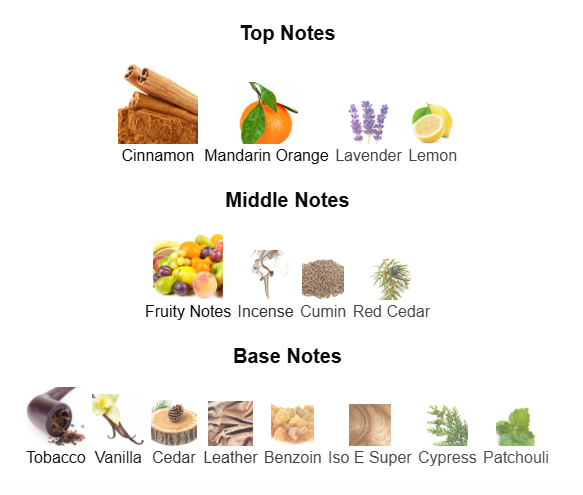 AZZARO WANTED BY NIGHT