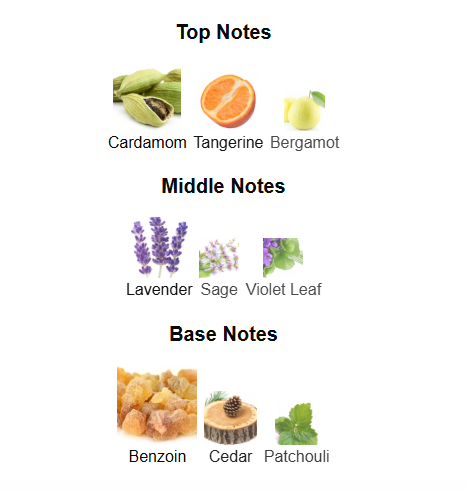 RABANNE 1 MILLION ROYAL