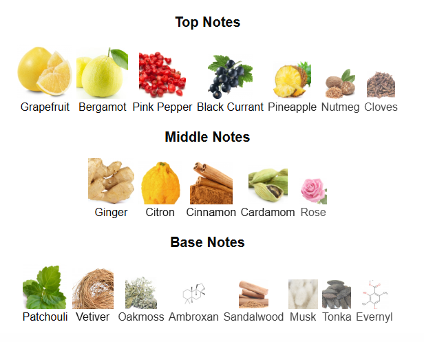 CREED ABSOLU AVENTUS