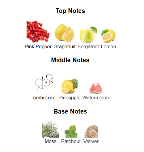 ATRALIA ABSOLUTE NOIR (Inspired by Creed Absolu Aventus)