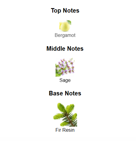 AZZARO CHROME PARFUM