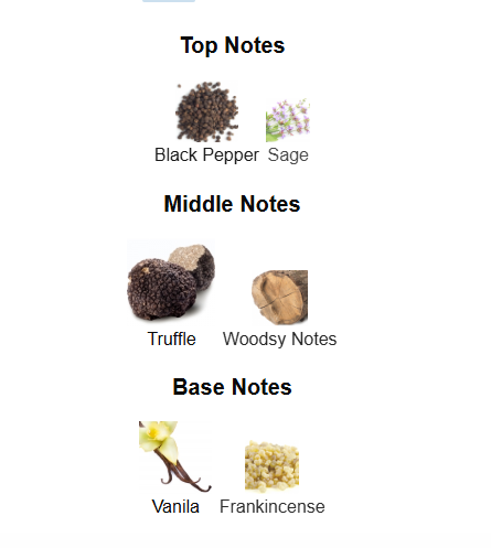 CAROLINA HERRERA BAD BOY COBALT ELIXIR