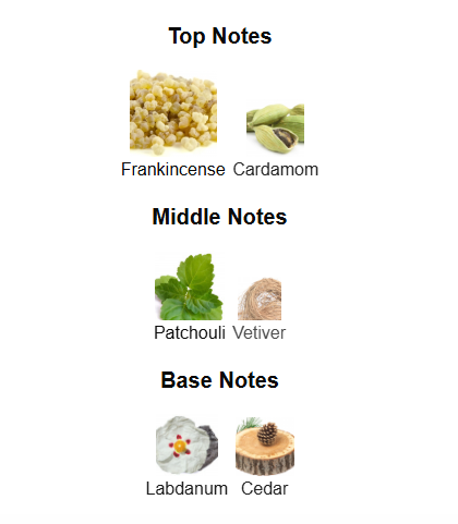 HUGO BOSS BOSS BOTTLED ELIXIR