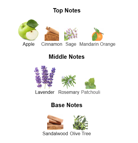 HUGO BOSS BOSS BOTTLED INFINITE