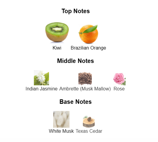 VALENTINO DONNA BORN IN ROMA CORAL FANTASY