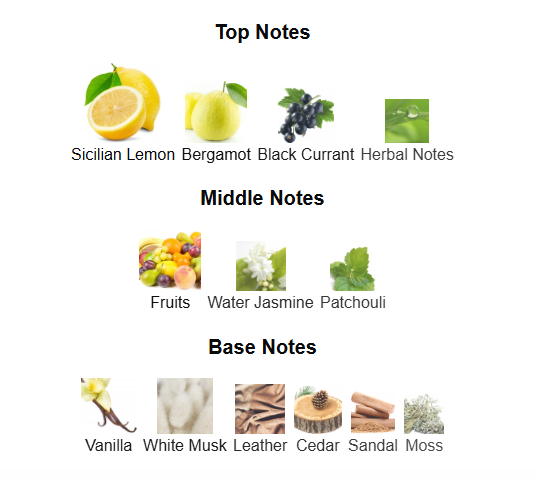 PARIS CORNER EMIR CEDRAT ESSENCE (Inspired by Mancera Cedrat Boise)