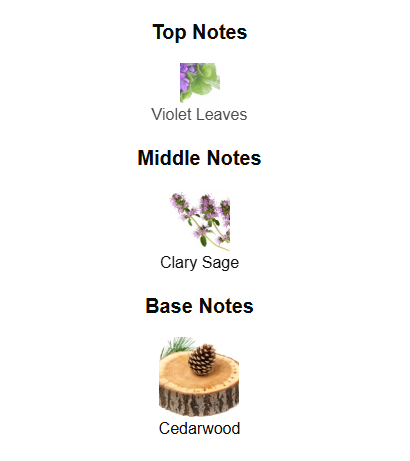 MONTBLANC EXPLORER PLATINUM