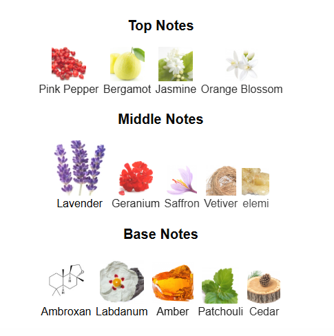 FRAGRANCE WORLD URBAN MAN ELIXIR (Inspired by JPG Le Male Elixir)