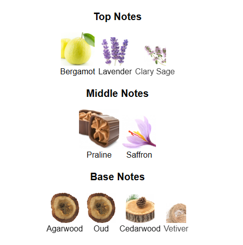 ARMAF THE LION’S CLUB FEROCE (Inspired by PDM Haltane)