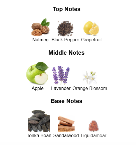 GUESS SEDUCTIVE HOMME NOIR