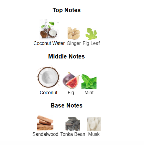 RASASI HAWAS TROPICAL (Inspired by JPG Paradise Garden)