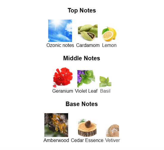 YSL L'HOMME LE PARFUM