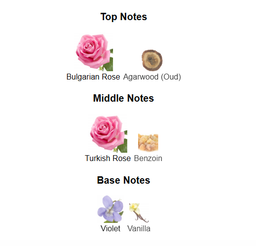 PARIS CORNER MINISTRY OF OUD OUD SATIN (Inspired by MFK Oud Satin Mood)