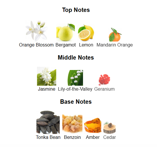 NIKOS SCULPTURE PARFUM