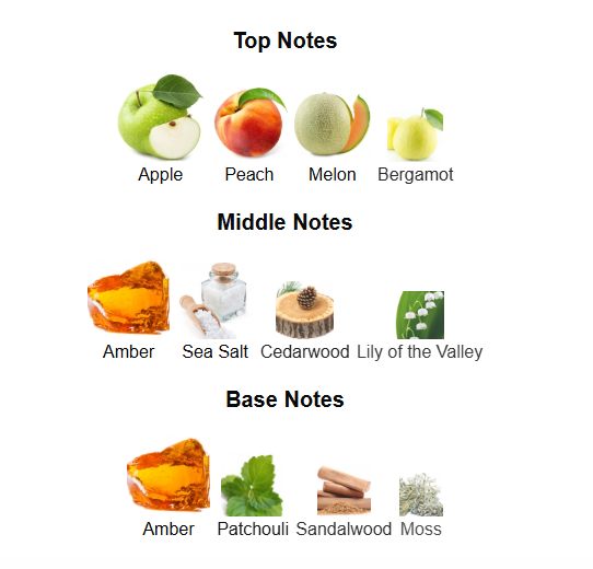 DUMONT NITRO RED INTENSELY (Inspired by Rabanne Invictus Aqua & Versace Dylan Blue)