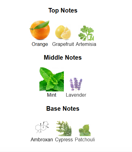 ARMAF ODYSSEY AQUA (Inspired by Rabanne Invictus Platinum)