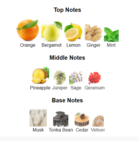 ARMAF ODYSSEY MEGA MAN (Inspired by YSl Y EDP)