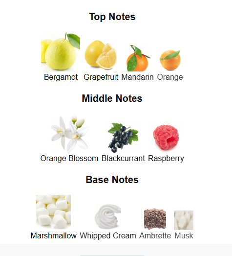 FRENCH AVENUE OLENA (Inspired by PDM Oriana)